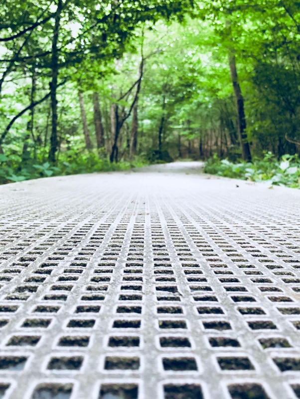          Cheminement piéton original en caillebotis au cœur d’une forêt