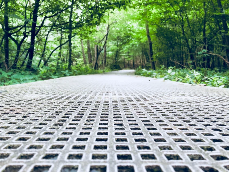 Pedestrian pathway in a forest setting in grey FRP grating