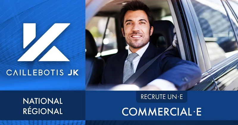 offre d'emploi commercial national régional