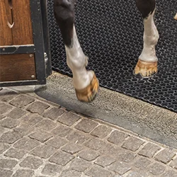 illustration utilisation caillebotis caoutchouc centres équestres