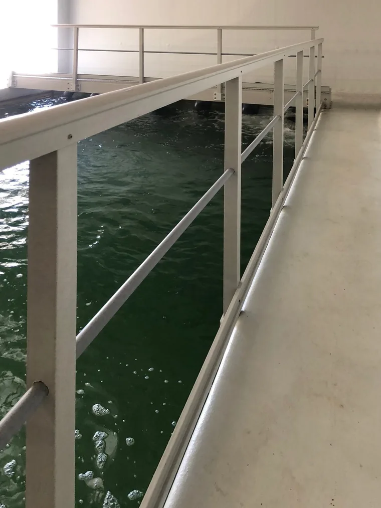 garde-corps en polyester le long d'un bassin de traitement des eaux