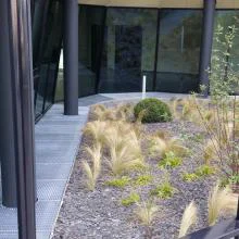 référence réalisation caillebotis acier pressé placé devant un bâtiment public permettant d'occulter les câbles techniques et les câbles d'arrosage