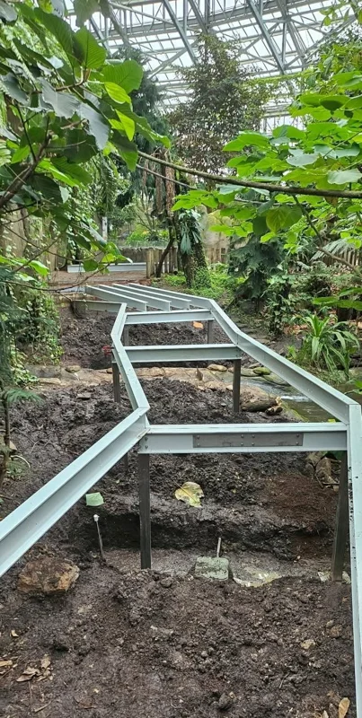 Profilés en I utilisés pour la structure d’une passerelle piétonne dans une serre